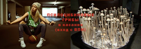 герыч Богородск