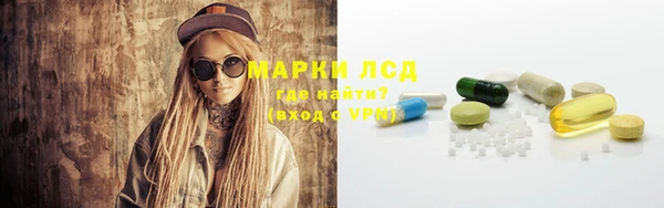 ешки Богданович
