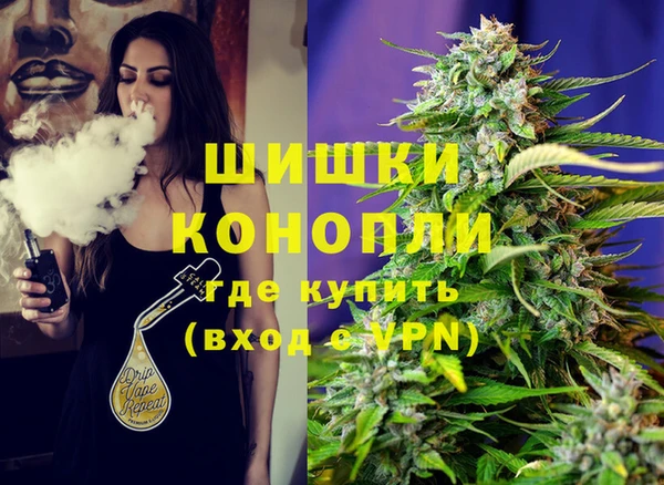 ешки Богданович