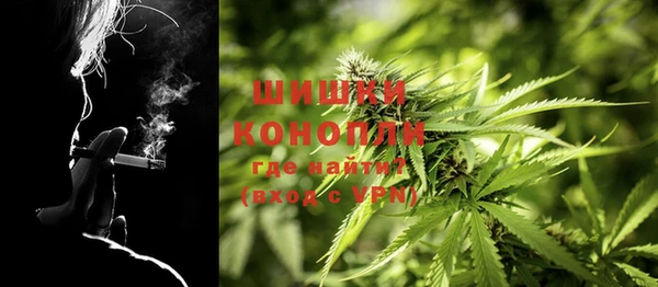 ешки Богданович