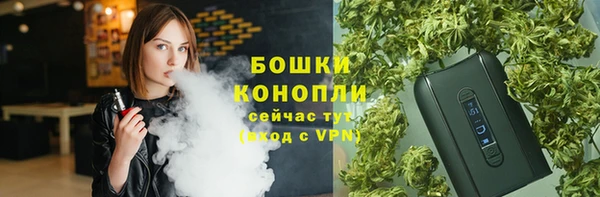 ешки Богданович