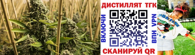 ТГК вейп Енисейск